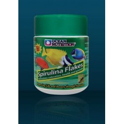 OCEAN NUTRITION - Spirulina Flocons 34g