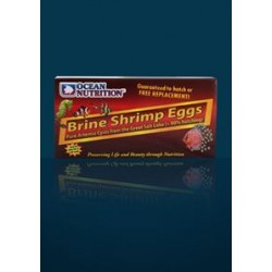 OCEAN NUTRITION - Brine Shrimp Eggs 50g