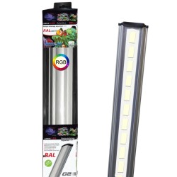 Rampe LED RAL G2- RGB