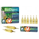 Prodibio bactéries BioDigest