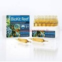 Prodibio BioKit Reef 30 ampoules
