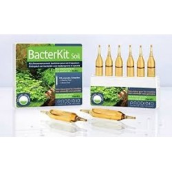 BacterKit Soil Prodibio 6 ampoules