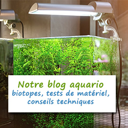 matériel aquascaping pour votre aquarium